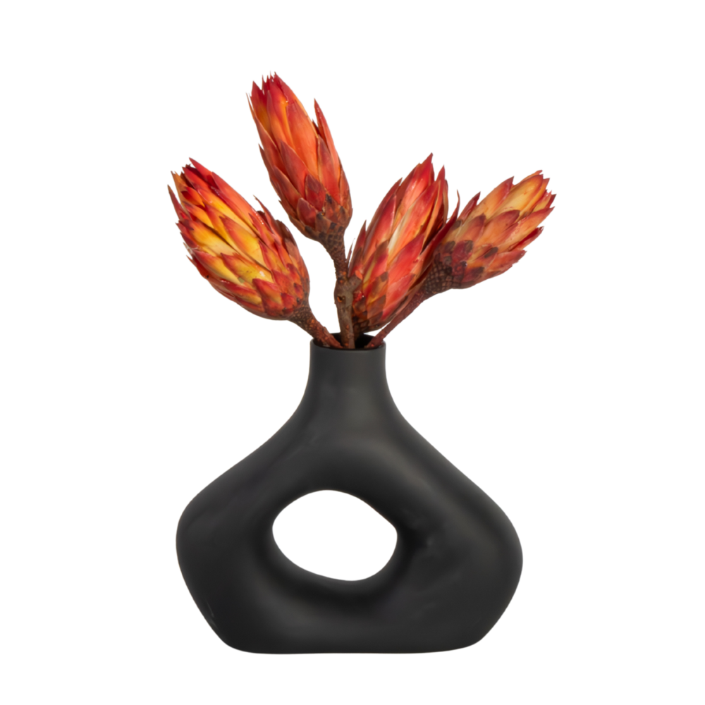 Fleurs séchées - set de 5 - bouquet 'protea pendula red'