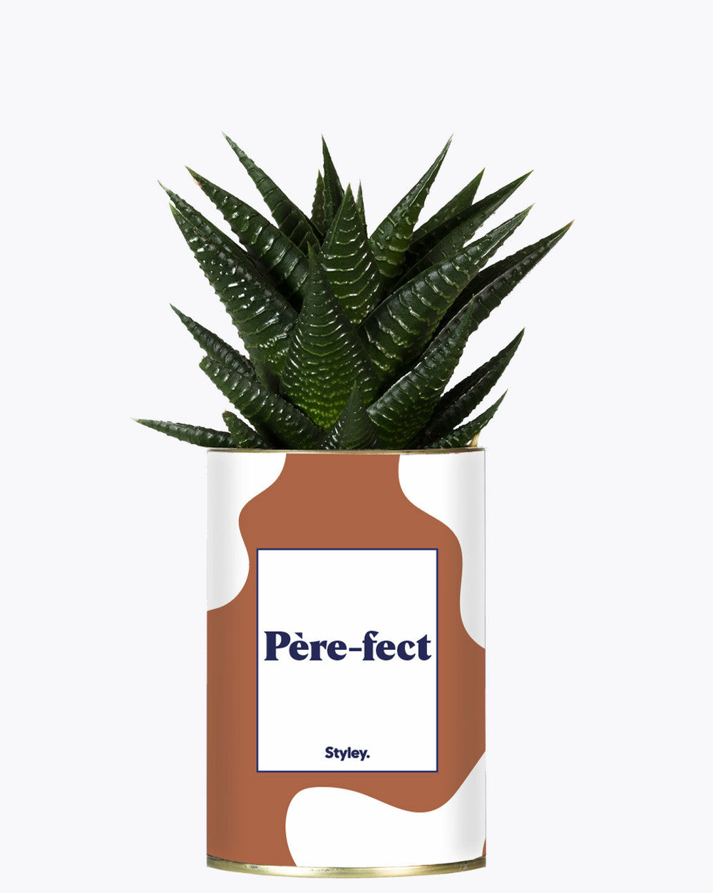 Plante personnalisée - père-fect - cactus