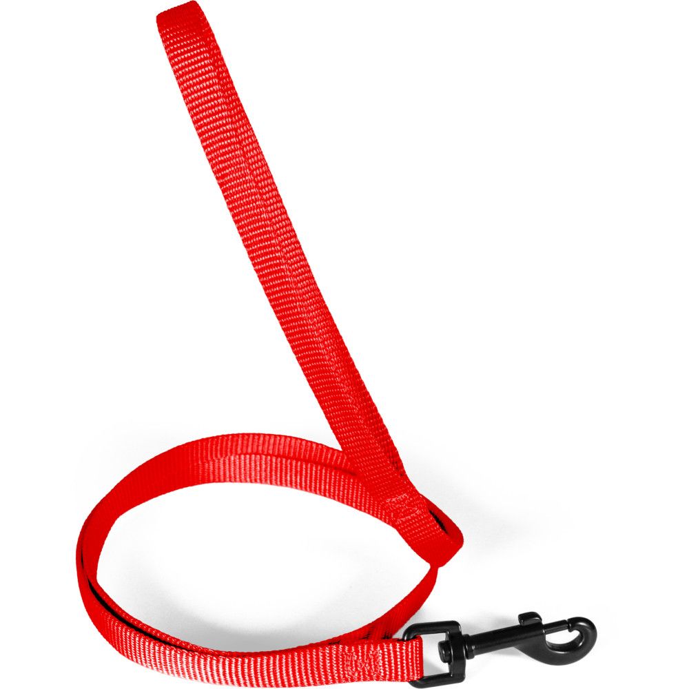Laisse pour chien en nylon recyclé, sangle 15 mm, longueur 1,20 m - zolux (