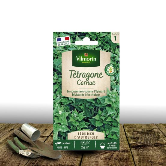 Graines de tétragone cornue - vilmorin sachet