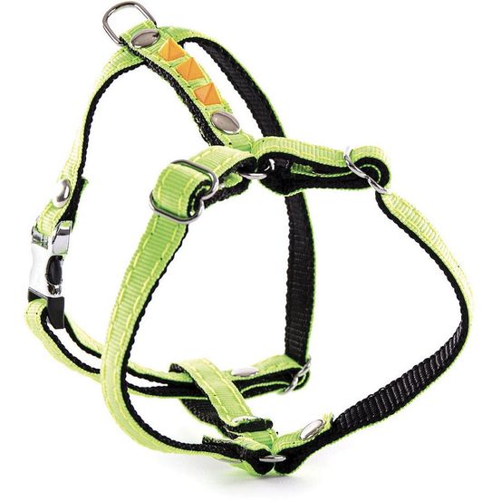 Harnais fluo color alter ego en nylon pour chiens