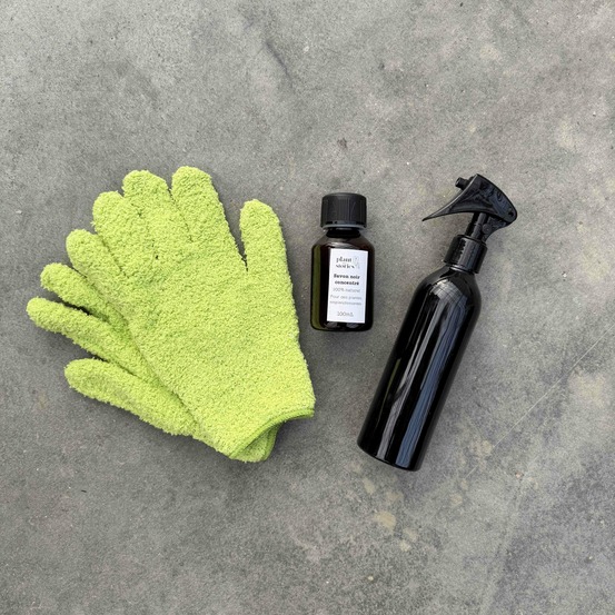Pack soin des plantes routine complète - pulvérisateur 250ml + savon noir concentré + paire de gants de nettoyage - vert pomme