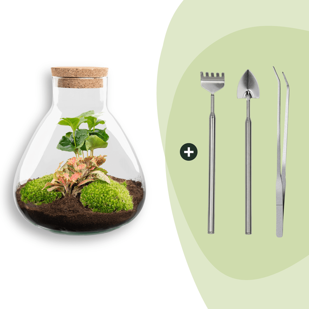 Terrarium à composer bouteille en verre recyclé - ø22-h26cm - avec râteau, pelle et pince - terrarium diy