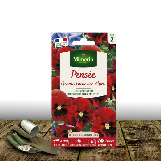 Graines de pensée géante lueur d'alpes - vilmorin sachet