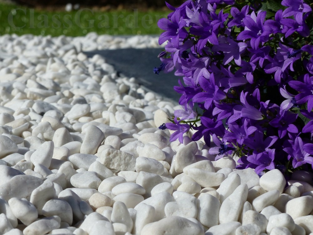 Galet blanc brillant 6-15 sac 20 kg