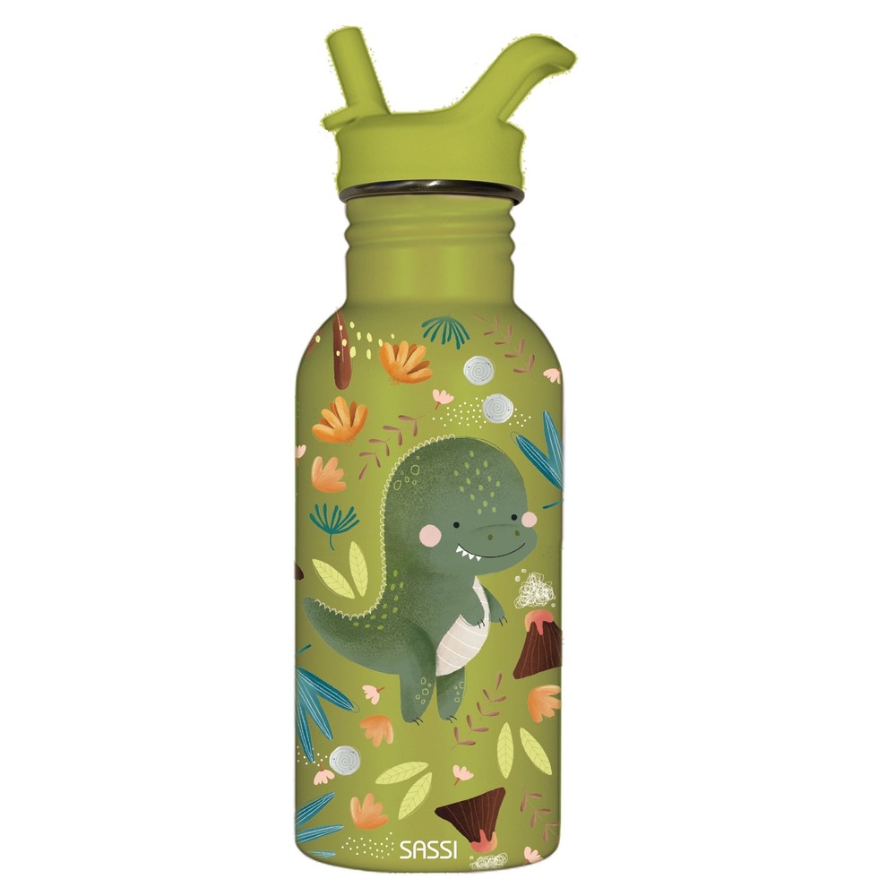 Bouteille en inox cracky le dinosaure 500 ml