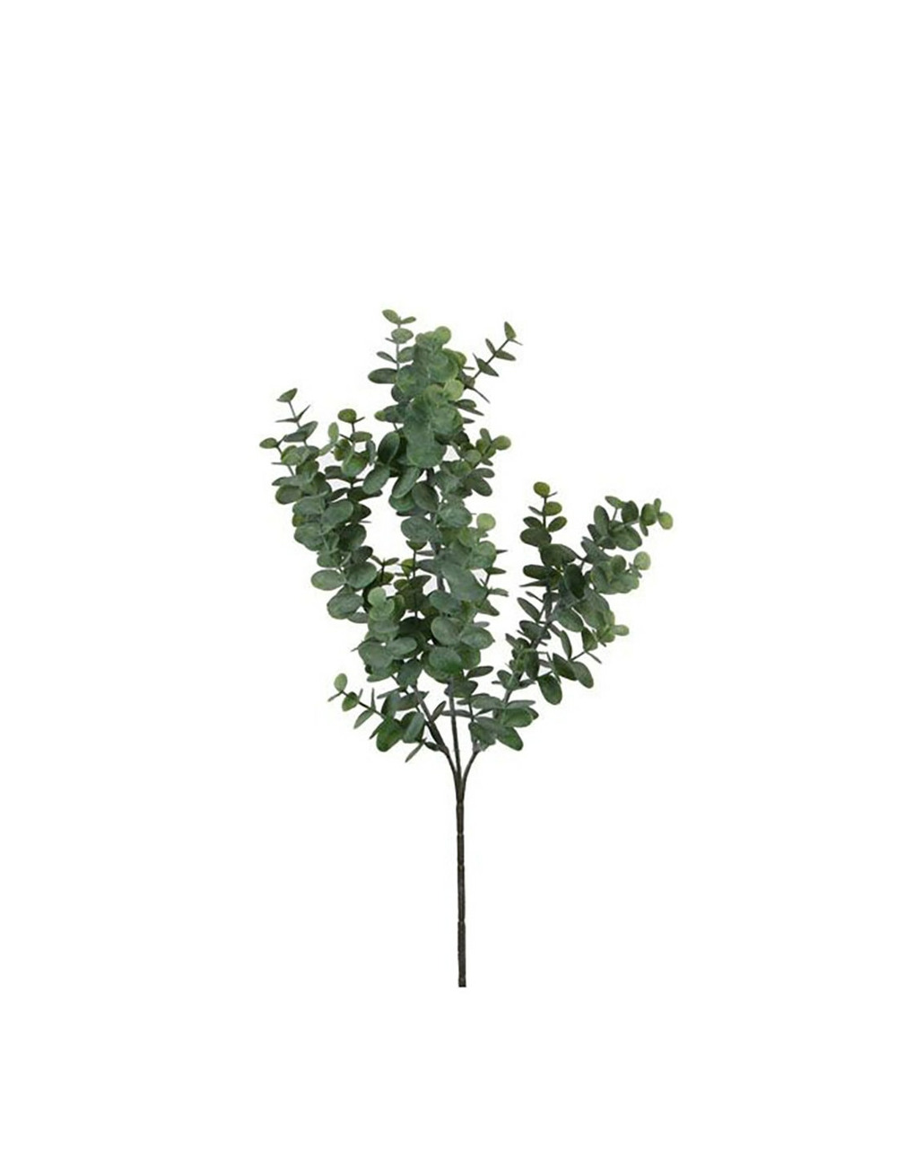 Couleur vert eucalyptus 65 cm