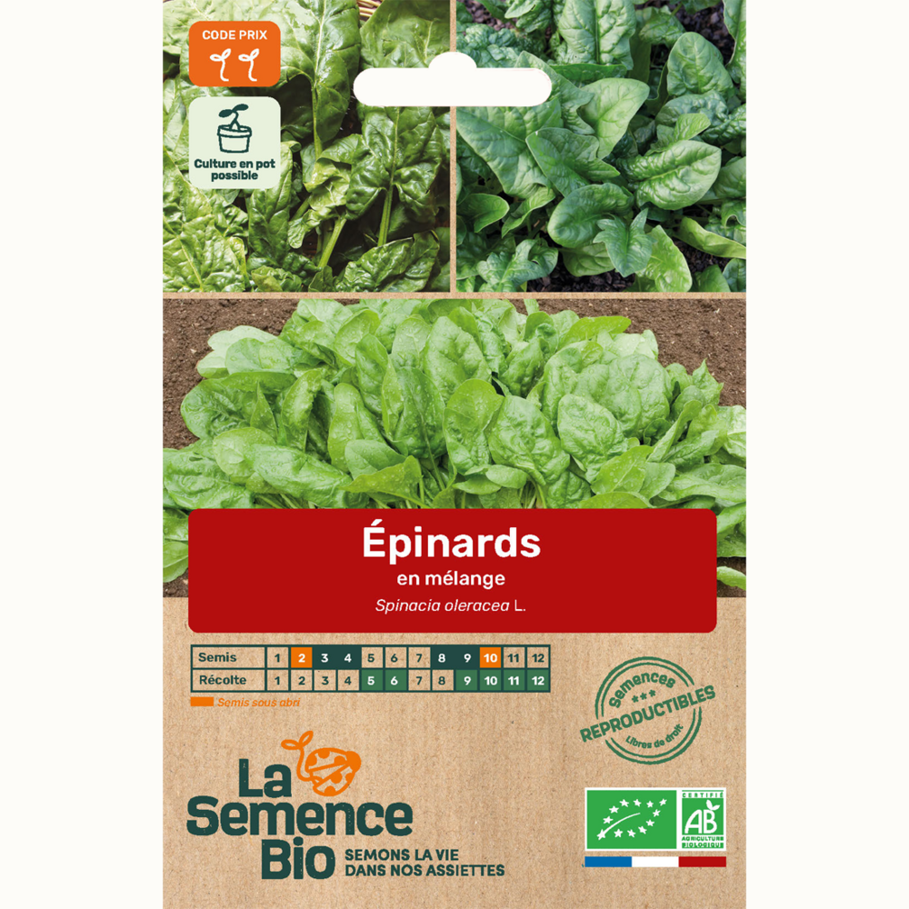 Épinards en mélange - graines bio