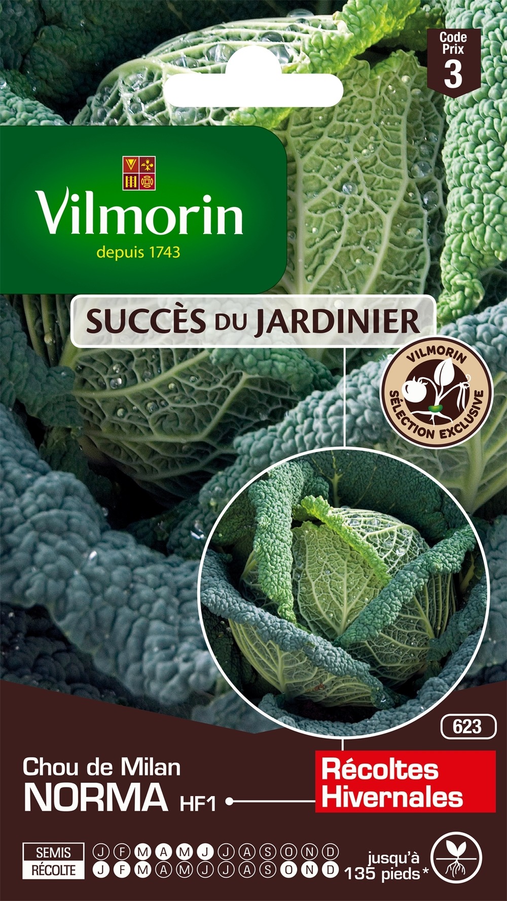 Chou milan 'norma f1' graines