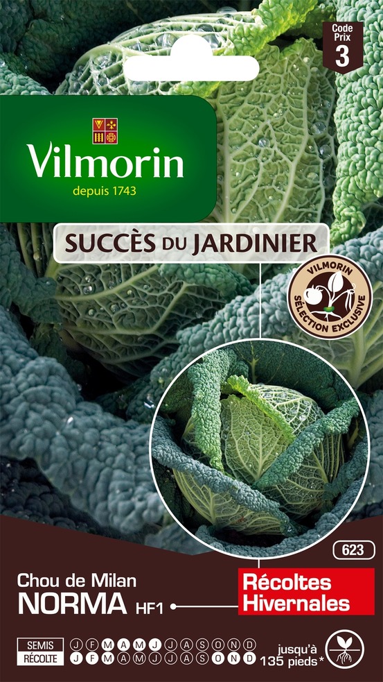 Chou milan 'norma f1' graines