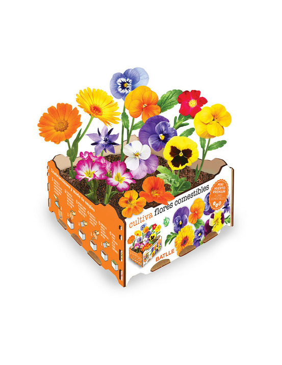 Boîte de fleurs comestibles batlle