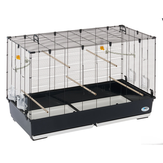 Ferplast volière cage à oiseaux piano 8 grande cage pour oiseaux, canaris, pinsons, perruches ondulées, inséparables, en métal,