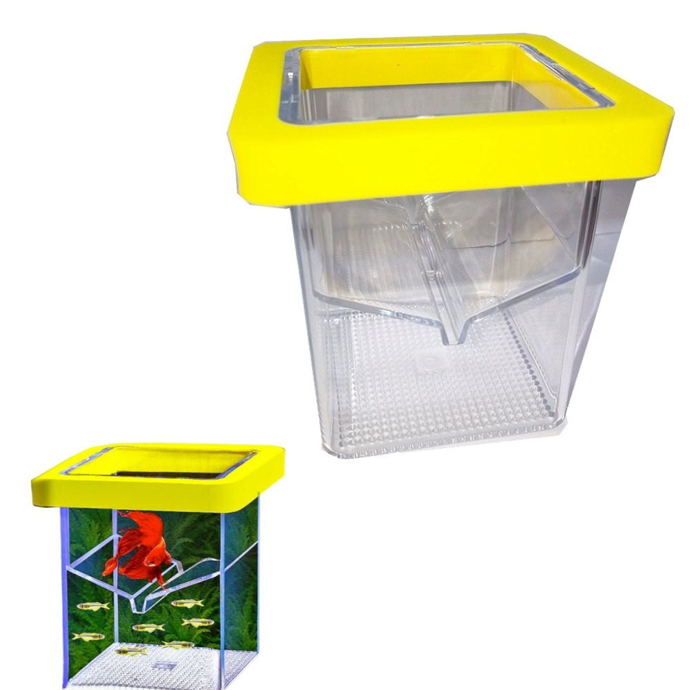 Boîte d'isolation pour poissons d'aquarium