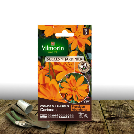 Graines de cosmos carioca - vilmorin sachet