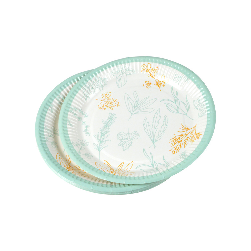 Set de 10 assiettes carton 18 cm aromates