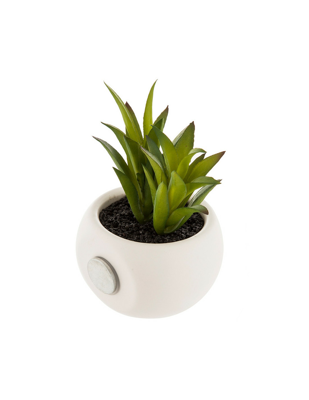 Mini plantes décoratives avec iman assortiments de modèles