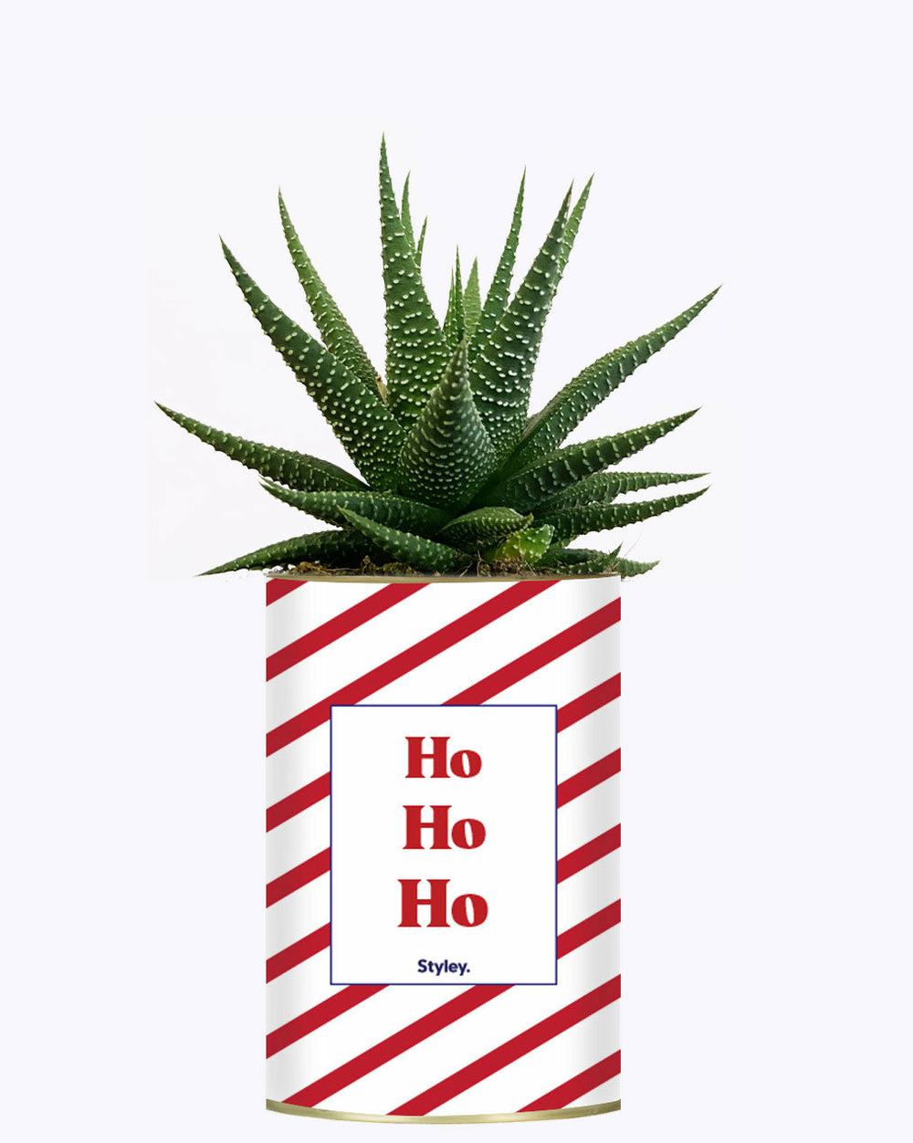 Plante personnalisée - ho ho ho - cactus
