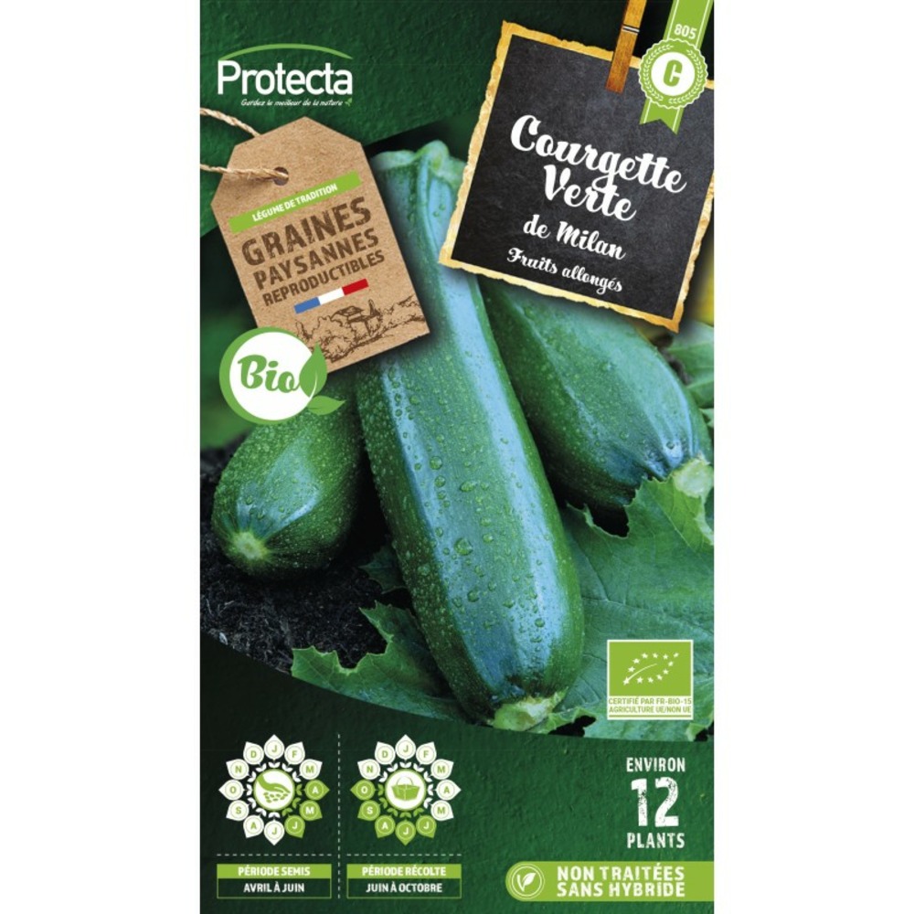 Graines paysannes - courgette verte de milan bio