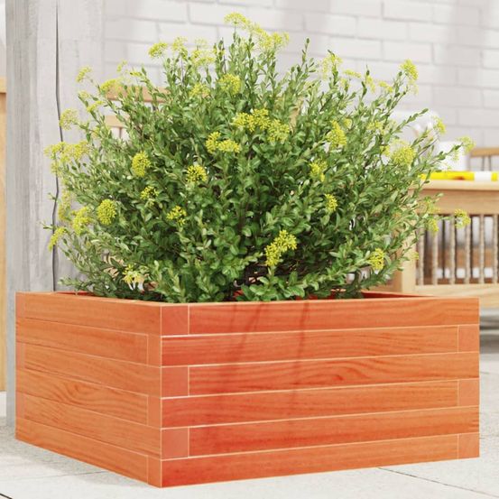 Jardinière carrée pin massif potager pour jardin cire marron 50x50cm