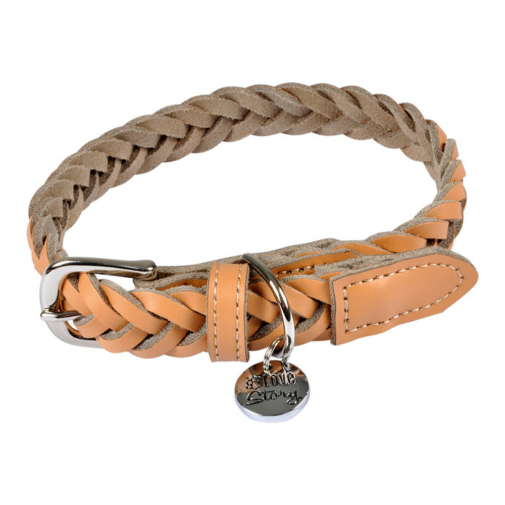 Collier pour chien réglable 