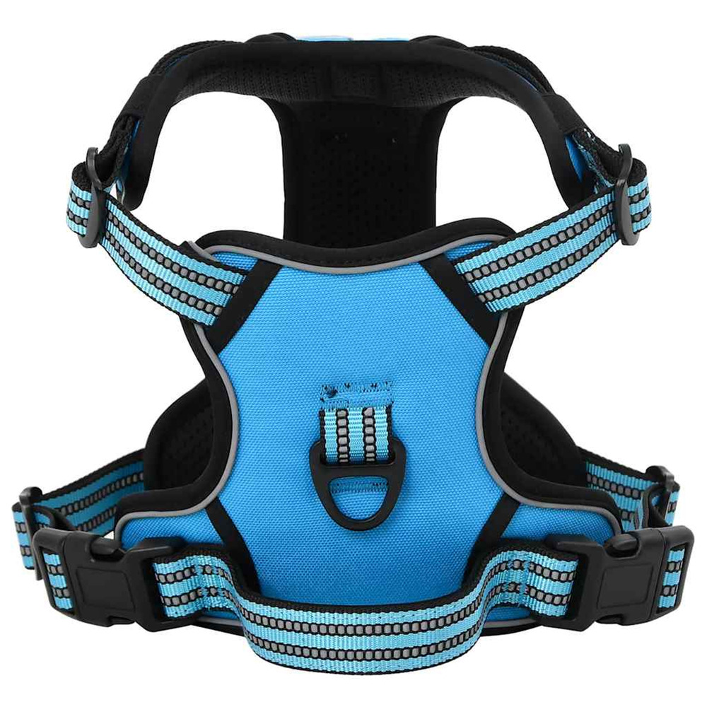 Harnais pour chien avec laisse et collier réglables bleu l