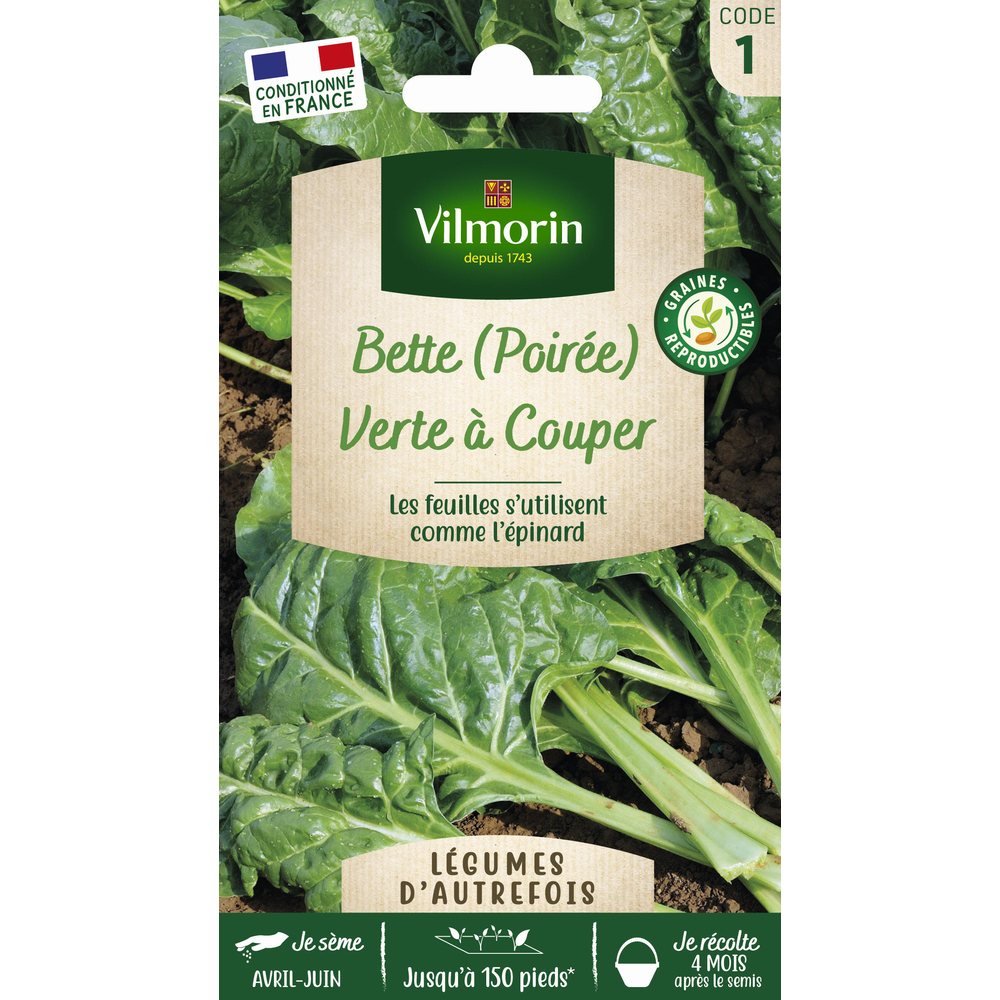 Graines de poirée verte à couper en sachet