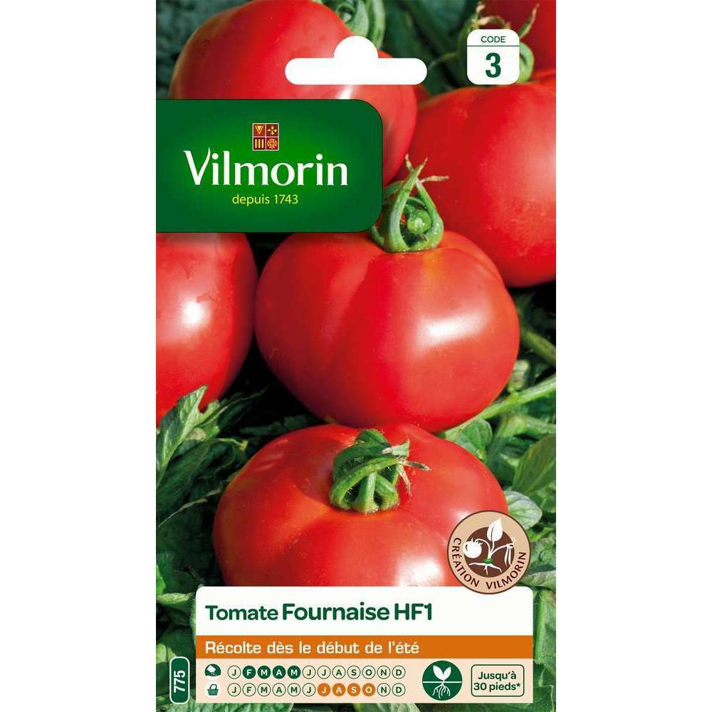 Graines de tomate fournaise hybride F1 en sachet