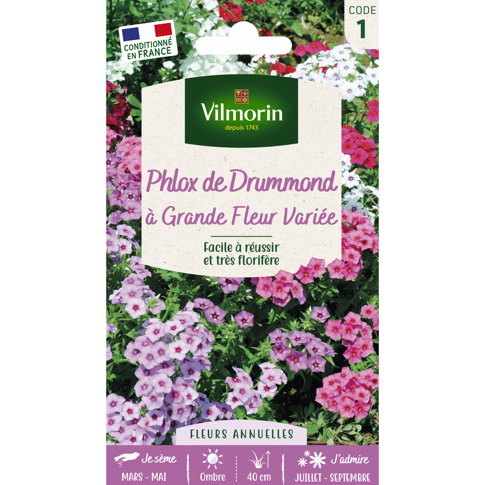Phlox de Drummond à grande fleur varié : en sachet