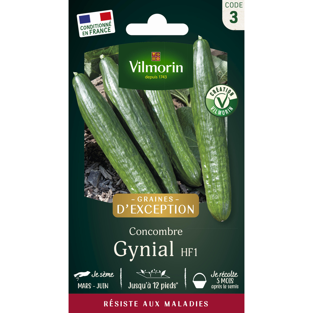 Graines de concombre Gynial Hybride F1 en sachet