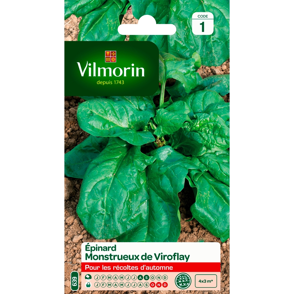 Graines d'épinard'Monstrueux de Viroflay en sachet