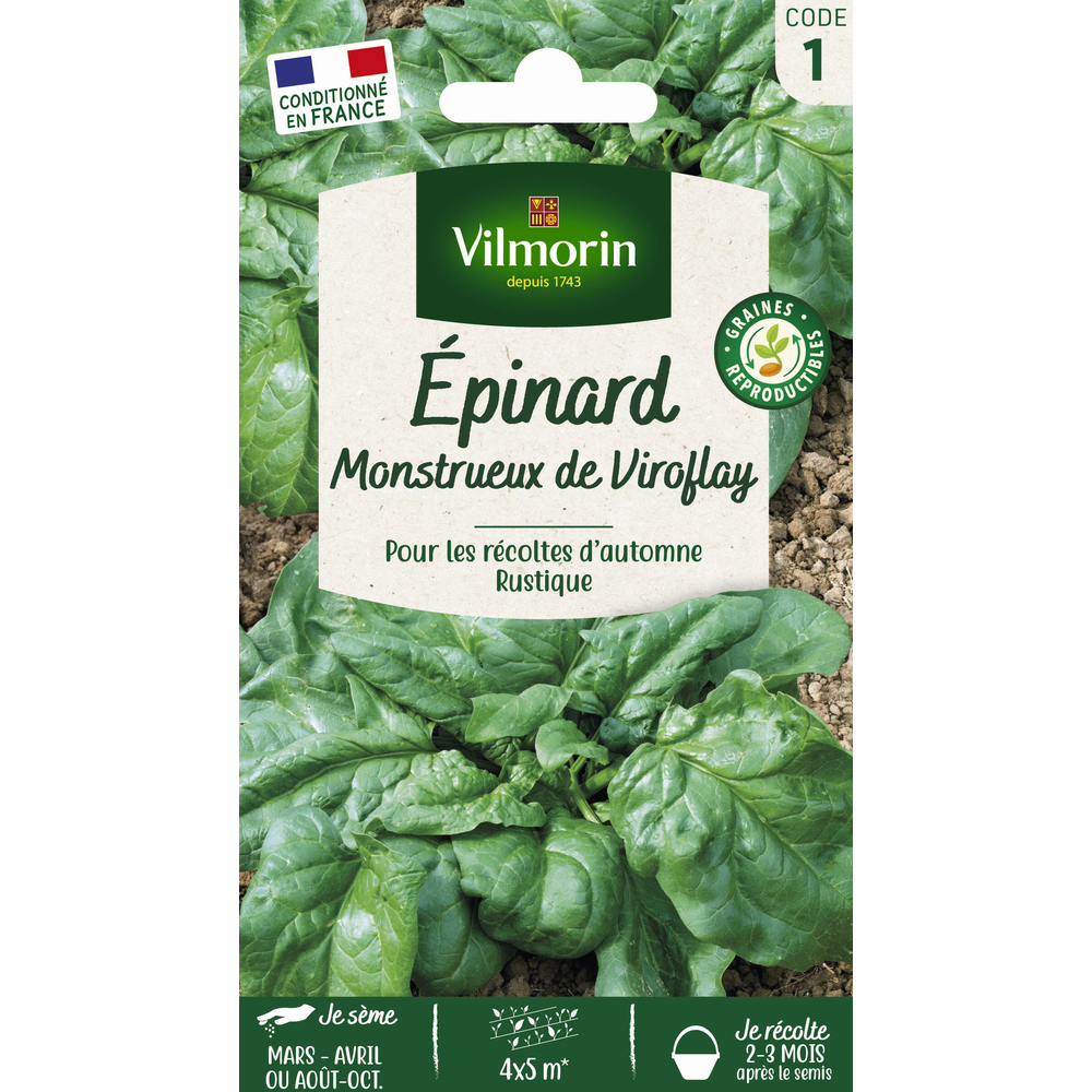 Graines d'épinard'Monstrueux de Viroflay en sachet