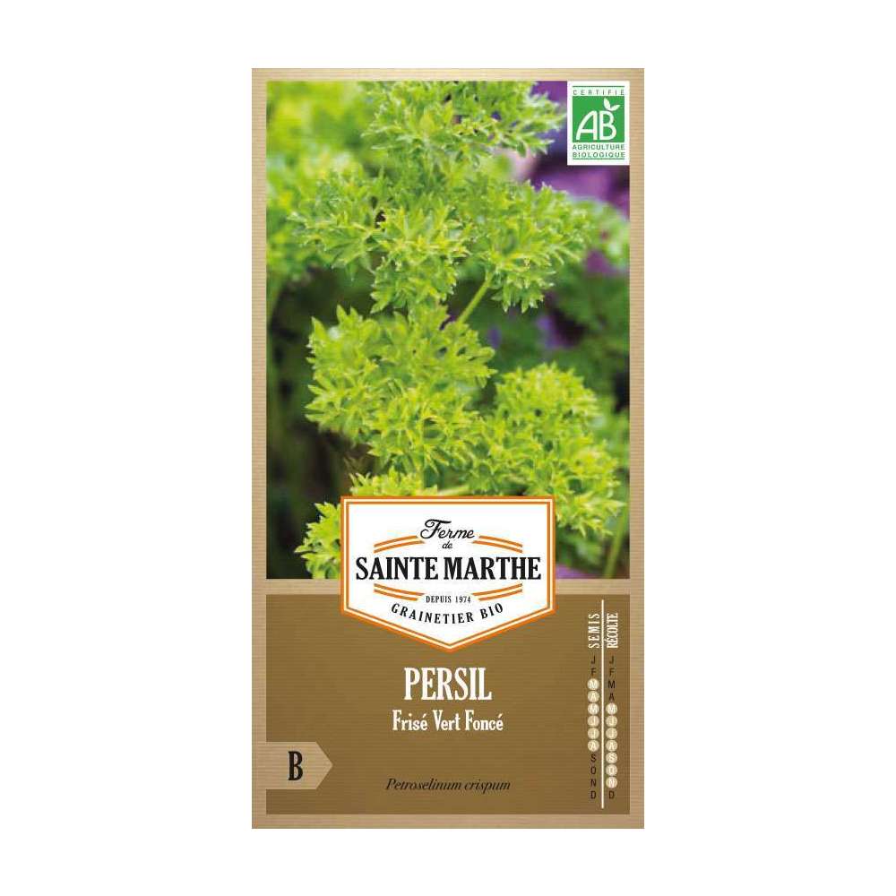 Persil frisé nain vert foncé - En sachet
