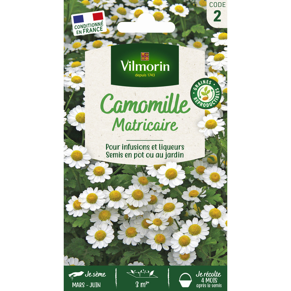 Graines de Camomille en sachet