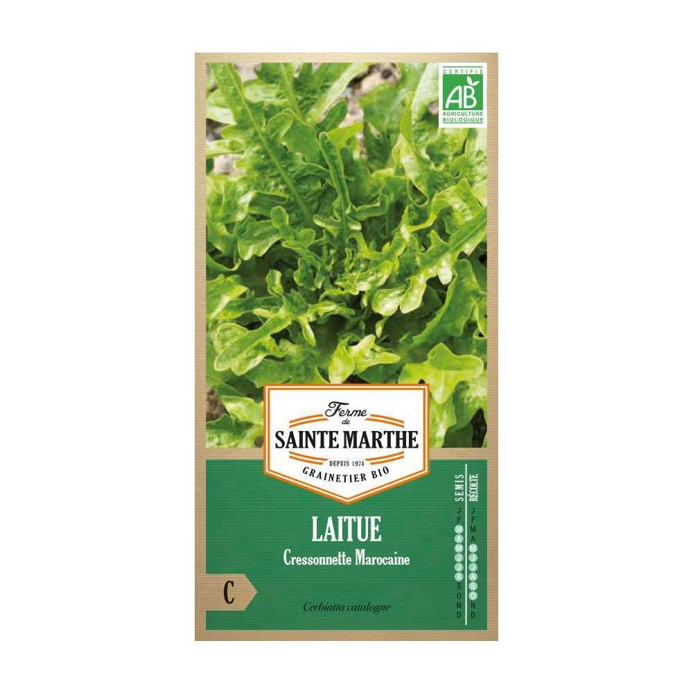 Graines de laitue cressonnette marocaine Bio en sachet