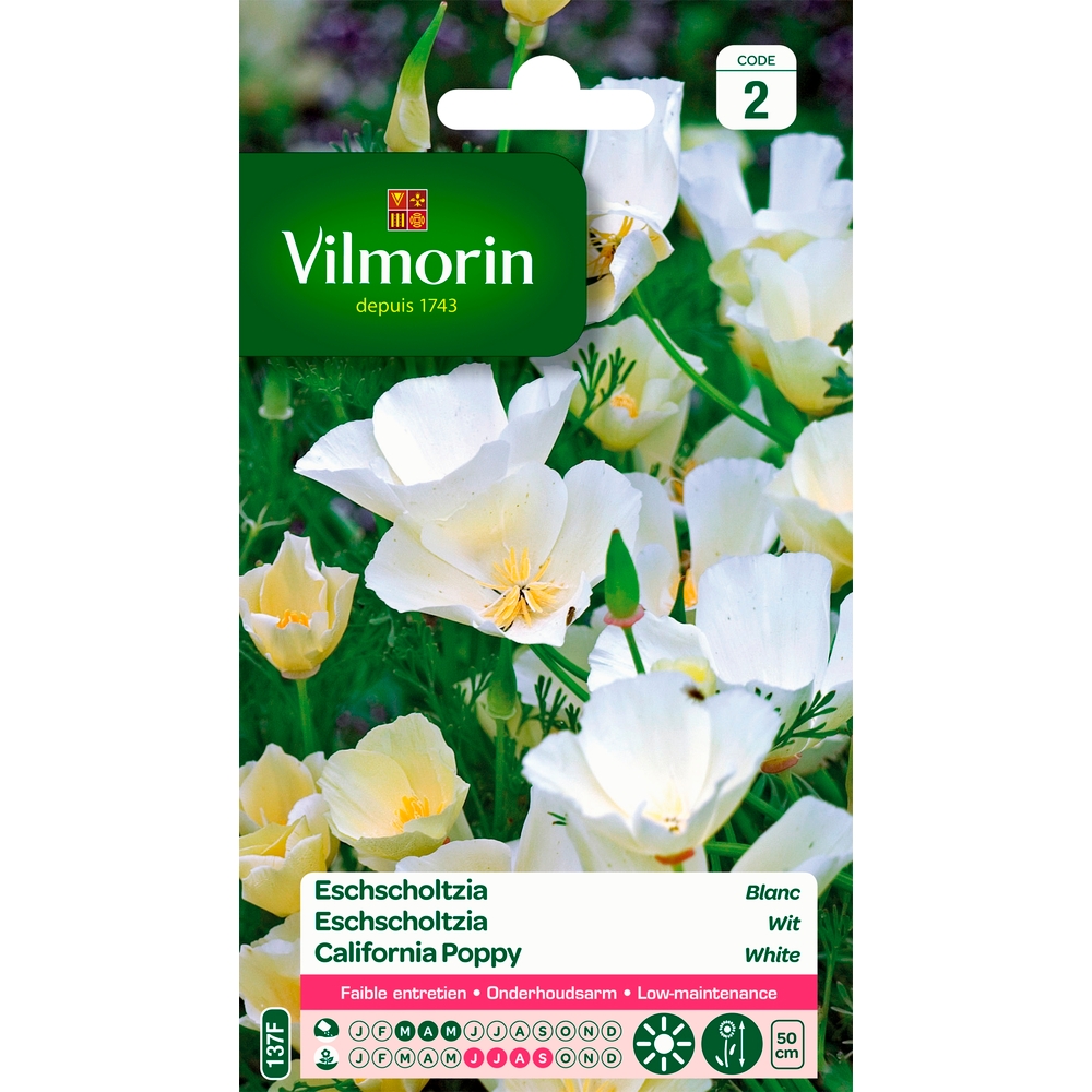 Eschscholtzia blanc : en sachet
