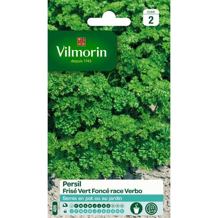Graines de persil frisé vert foncé race verbo en sachet