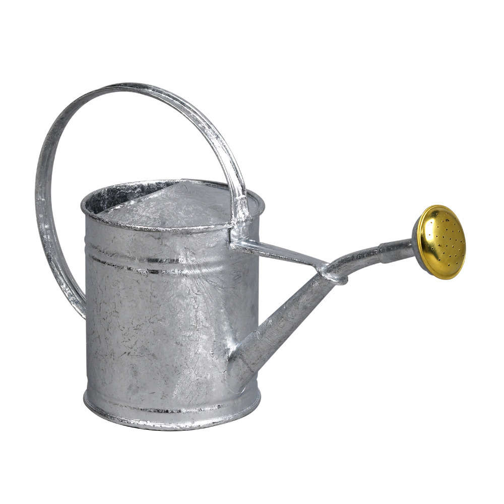 Arrosoir avec pomme galvanisé à chaud 1L