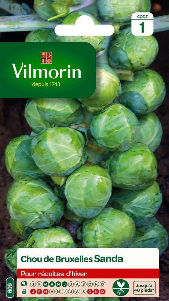 Graines de chou de Bruxelles Sanda en sachet