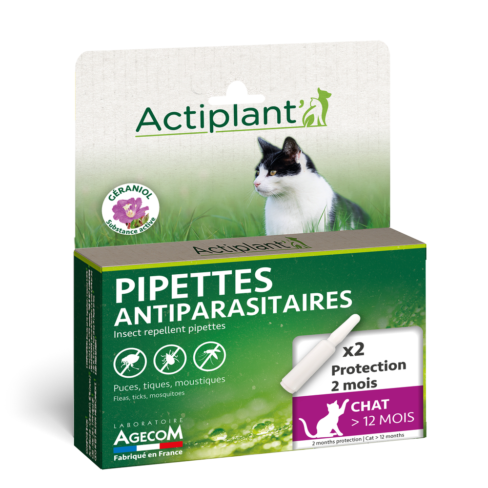 Pipette antiparasitaire chat eco spot n°1 essentiel 2x0,6ml