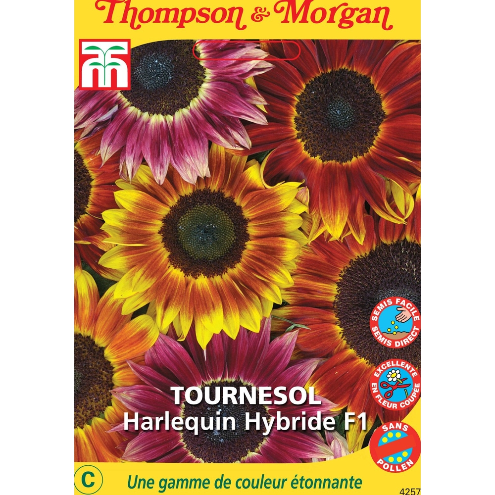 tournesol harlequin f1 hybride