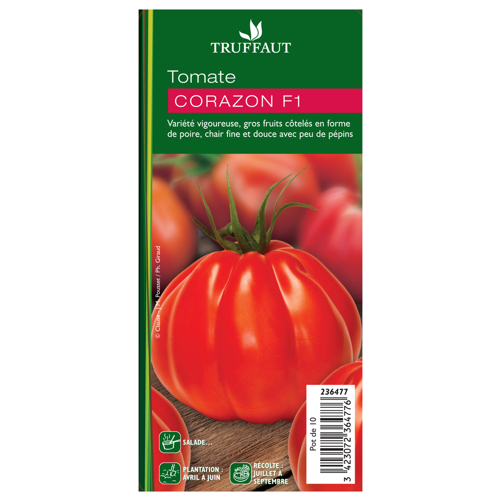 Graines de Tomate Coeur de Boeuf Corazon Hybride F1