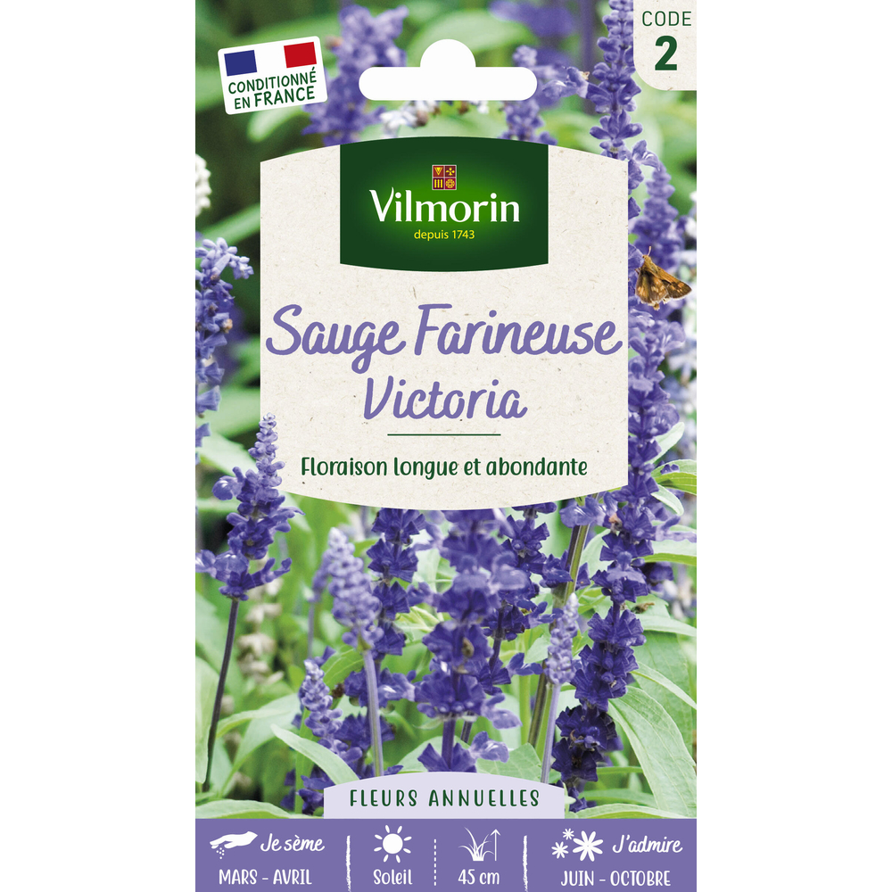 Sauge bleue Victoria : en sachet