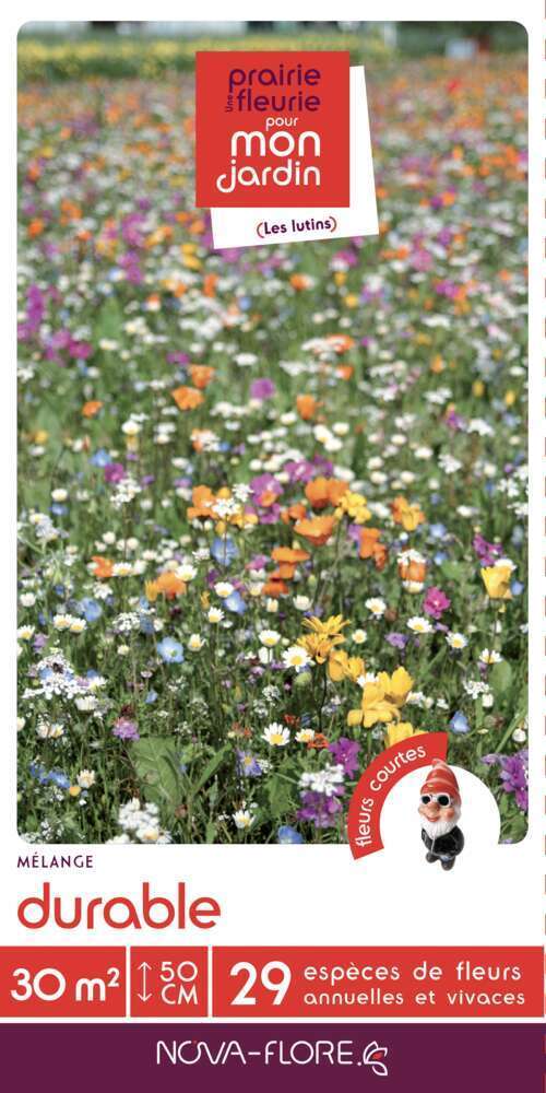 Prairies fleuries : prairie durable - 30m²
