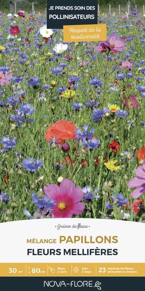 Prairies fleuries : j'invite les papillons - 30m²