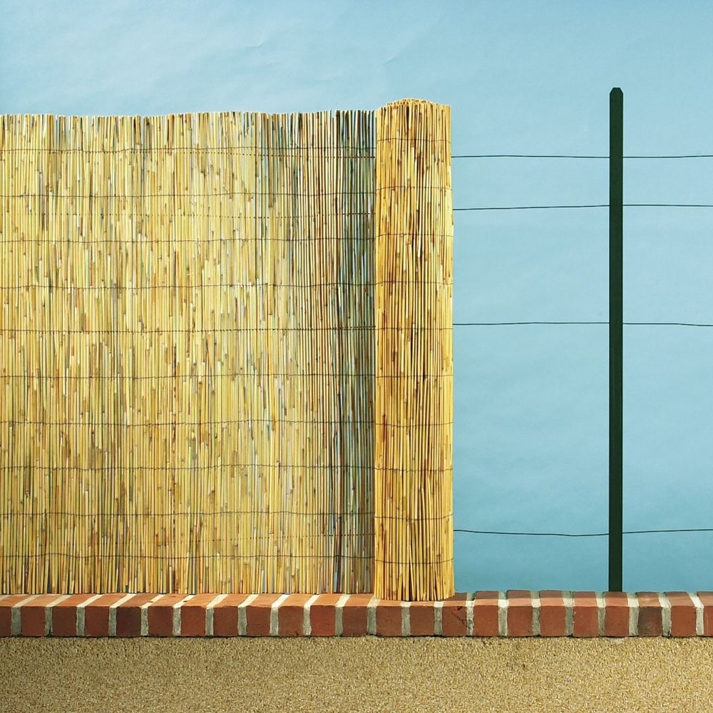 Paillon en tiges de roseaux Reedcane - l. 500 x H. 100 cm