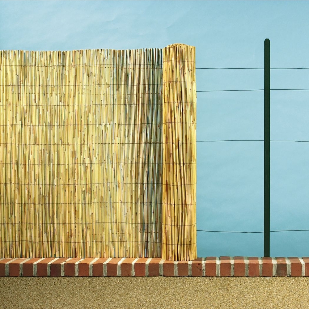 Paillon en tiges de roseaux Reedcane - l. 500 x H. 150 cm