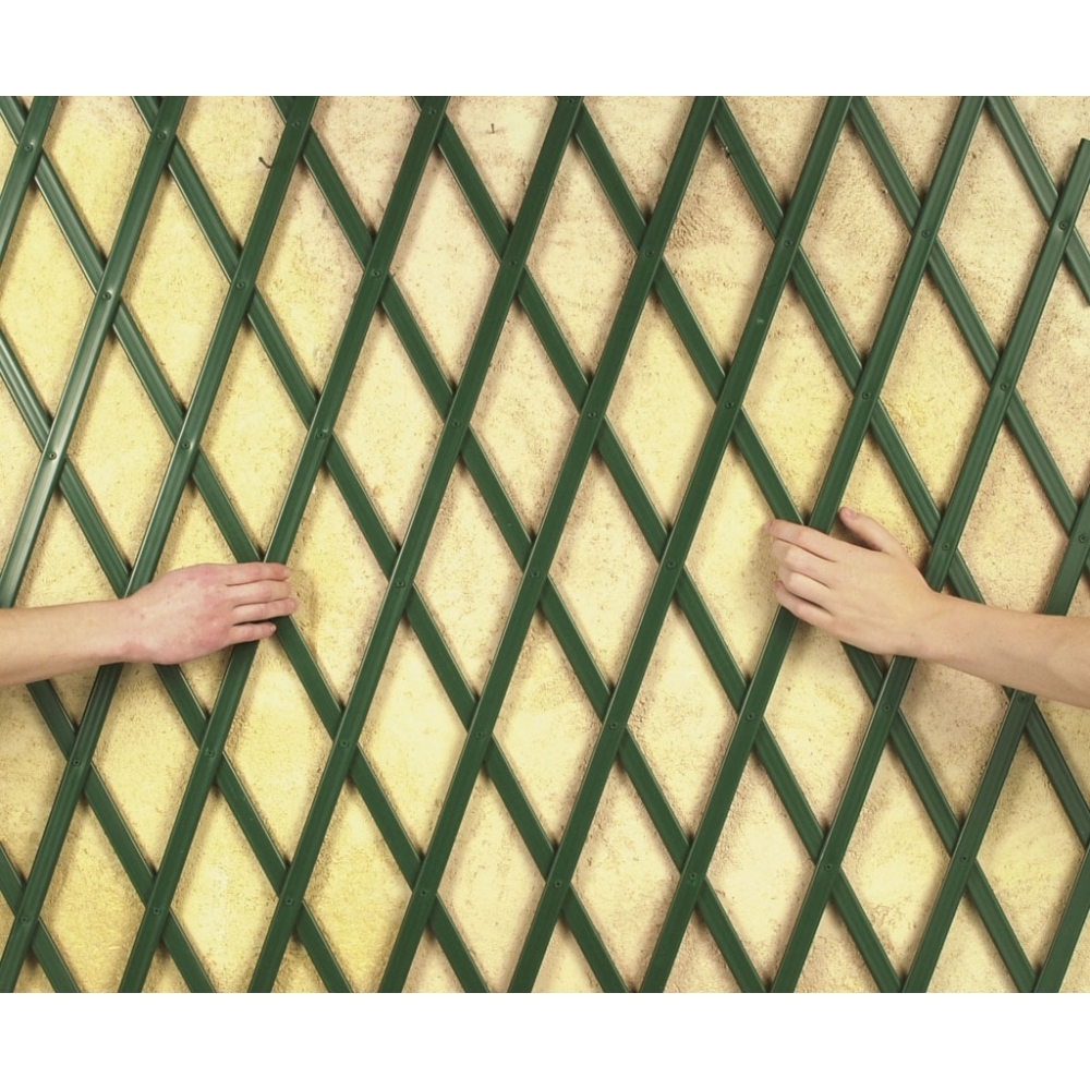 Mini-treillis en PVC, vert - 50 x 150 cm