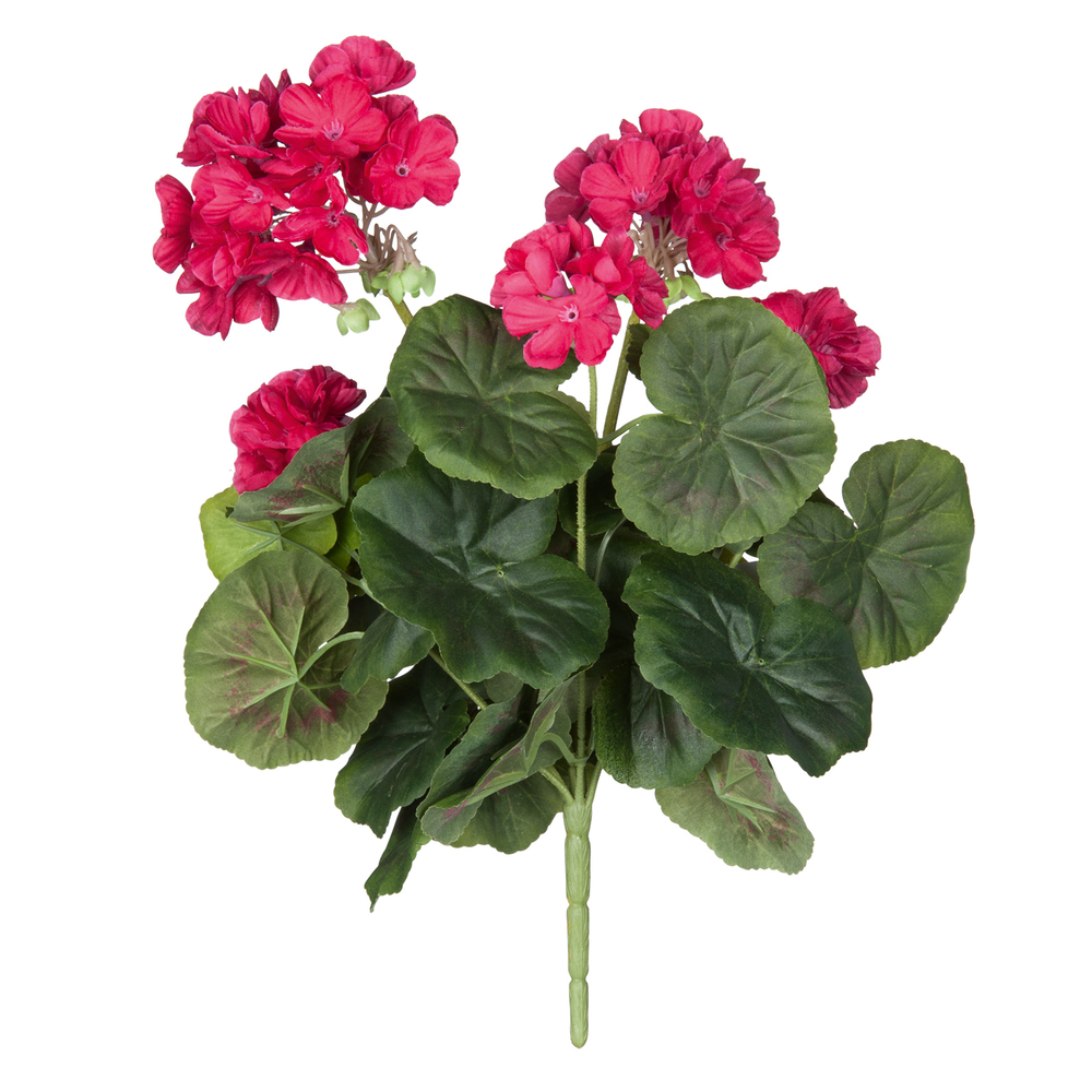 Piquet geranium, rose foncé Ø 20 cm