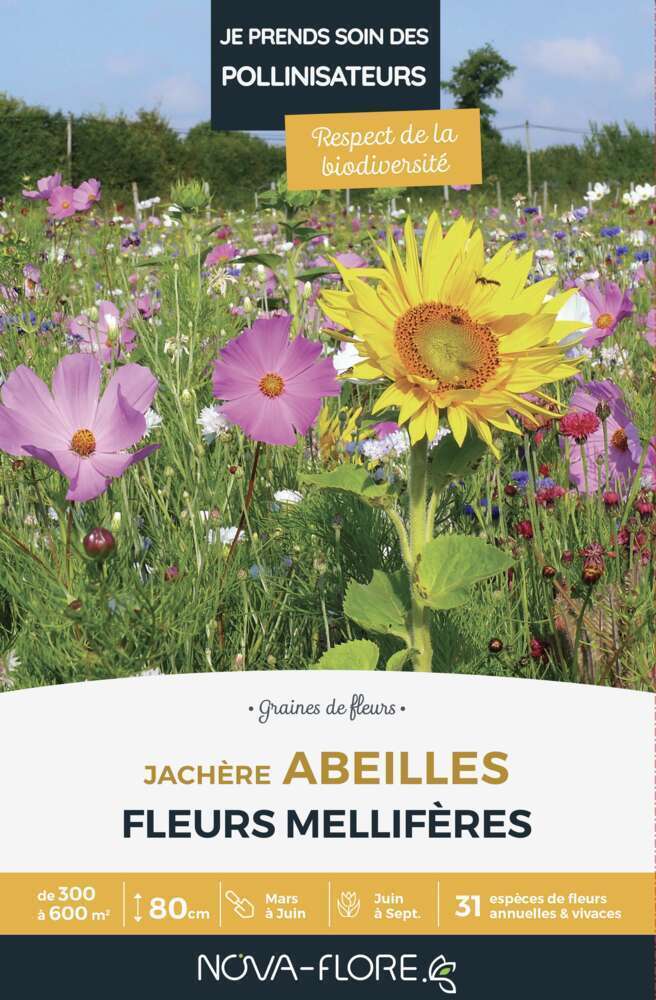 Mélange fleuri Abeilles annuelles et vivaces 500 g - En boite