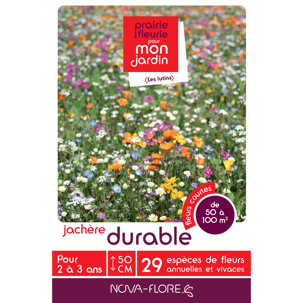 Mélange fleuri Jachère durable 500 g - En boite